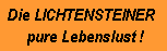 lichtensteiner_2